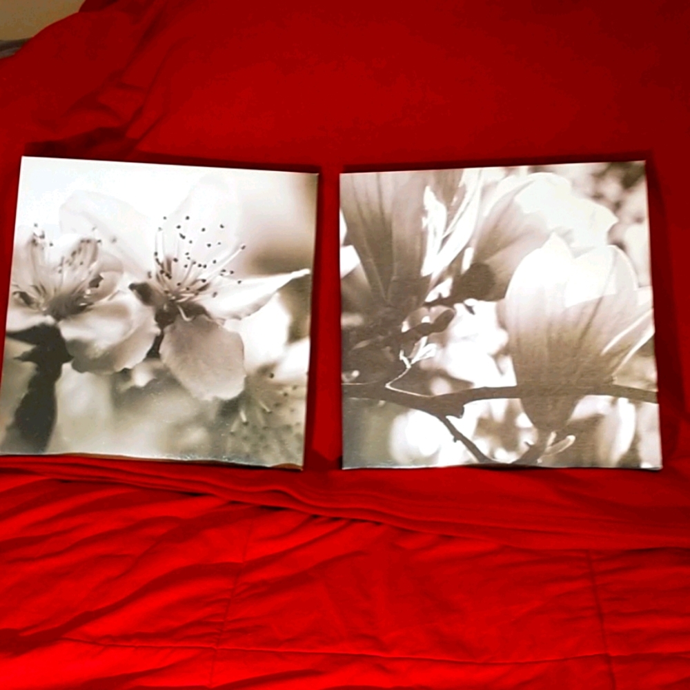 Wall canvas